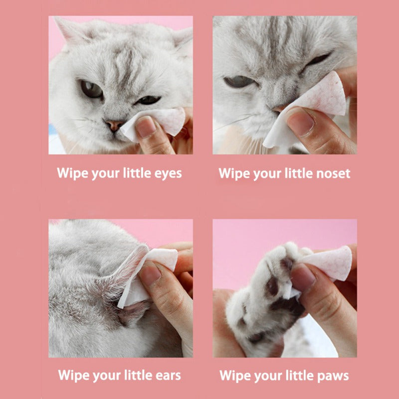Pet Eye Non-Woven Cleaning Wipes 120 Pieces