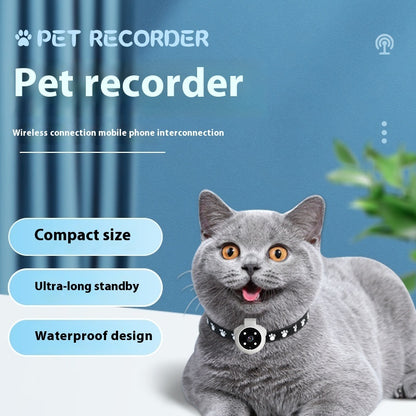 Motion Tracking Collar for Pets with Recording – Bubbitas