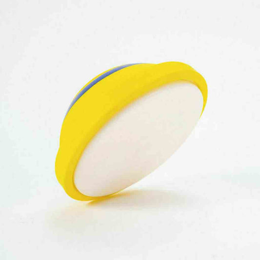 Pet Play Indoor Woof Glider Disc Toy – Bubbitas