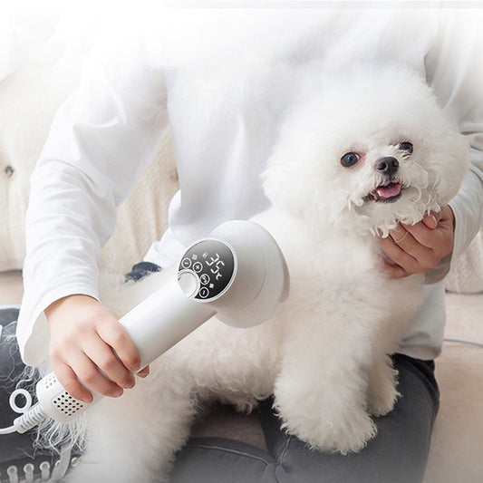 Smart Golden Retriever Pet Hair Dryer & Comb
