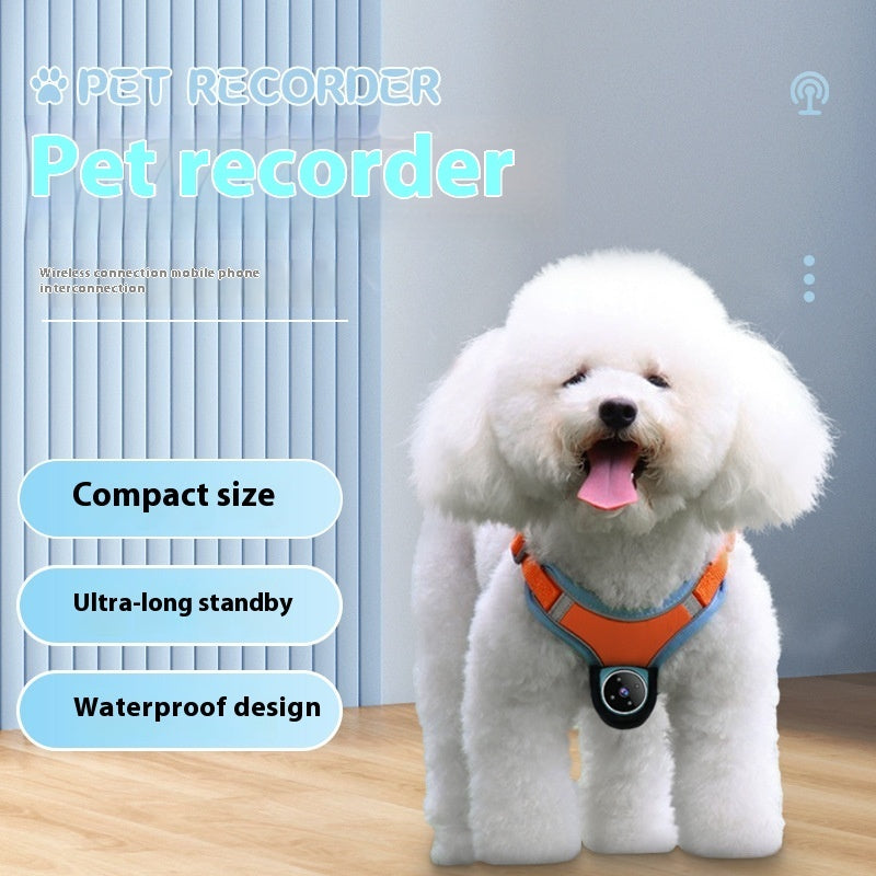 Motion Tracking Collar for Pets with Recording – Bubbitas