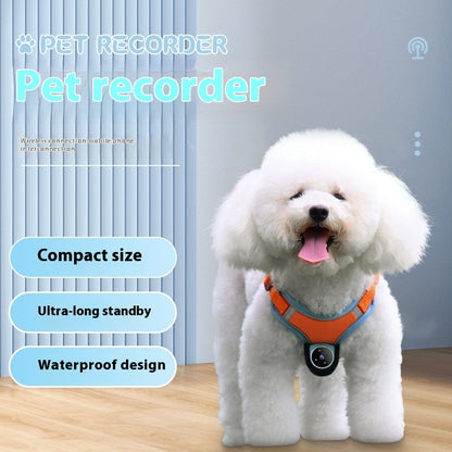 Motion Tracking Collar for Pets with Recording – Bubbitas