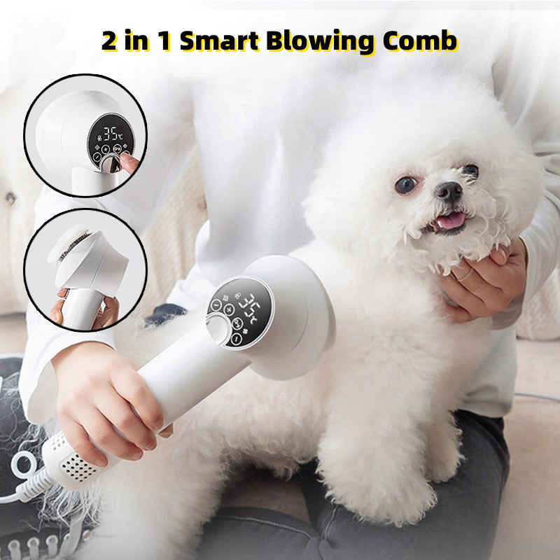 Smart Golden Retriever Pet Hair Dryer & Comb