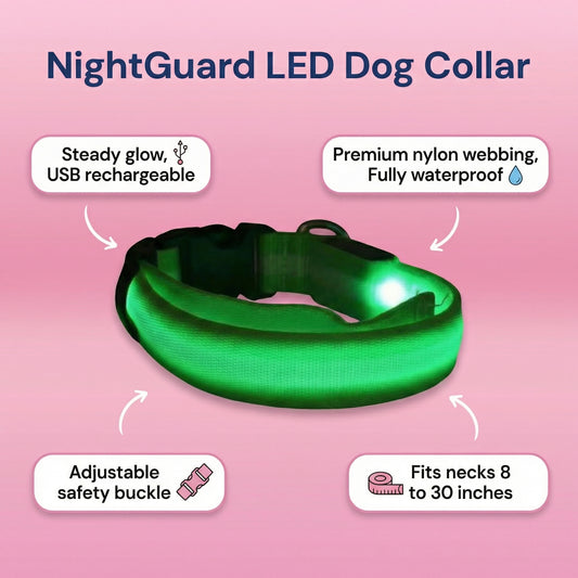 NightGuard LED Dog Collar